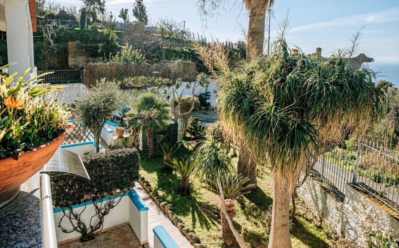Appartamenti Ischia Casa Don Peppe Forio  Exterior photo
